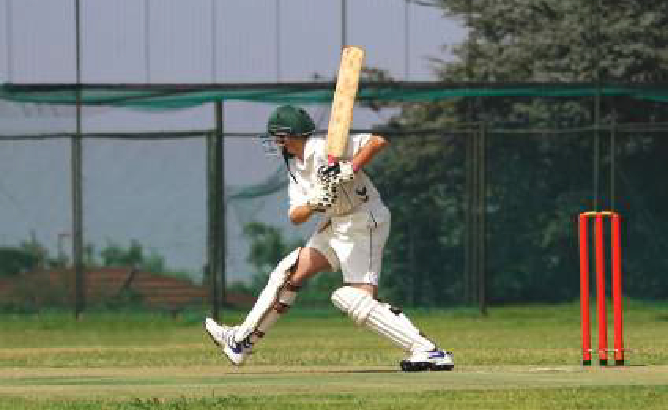 Cricket Pitch